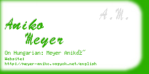 aniko meyer business card